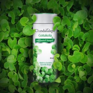 Hair Shampoo Chandanalepa
